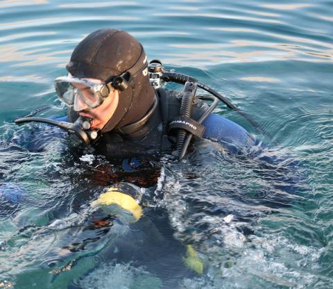 dive at Vortex Springs