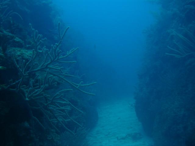 Costa Maya
