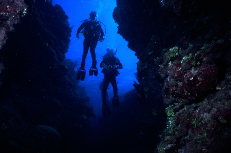 guanaja - reef