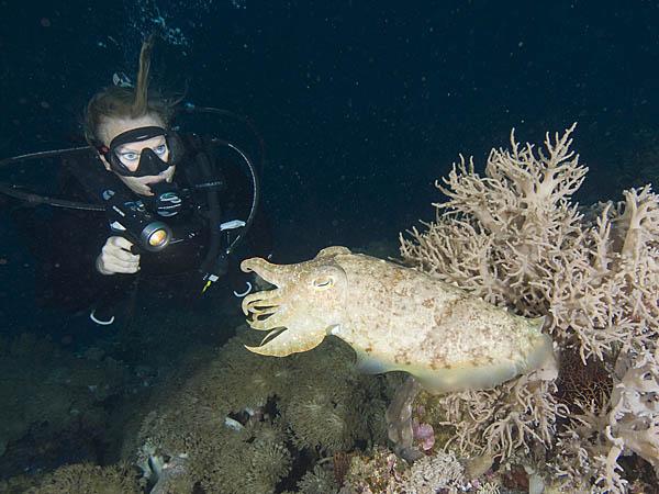 Donna cuttling at Banana Bommie in Papua New Guinea