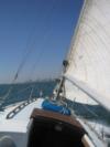 Downtown Long Beach shot from the Sailing Vessel "Indepencence"