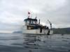 "Bottom Scratcher" - Ship Rock - Catalina Island, CA - 3/21/09