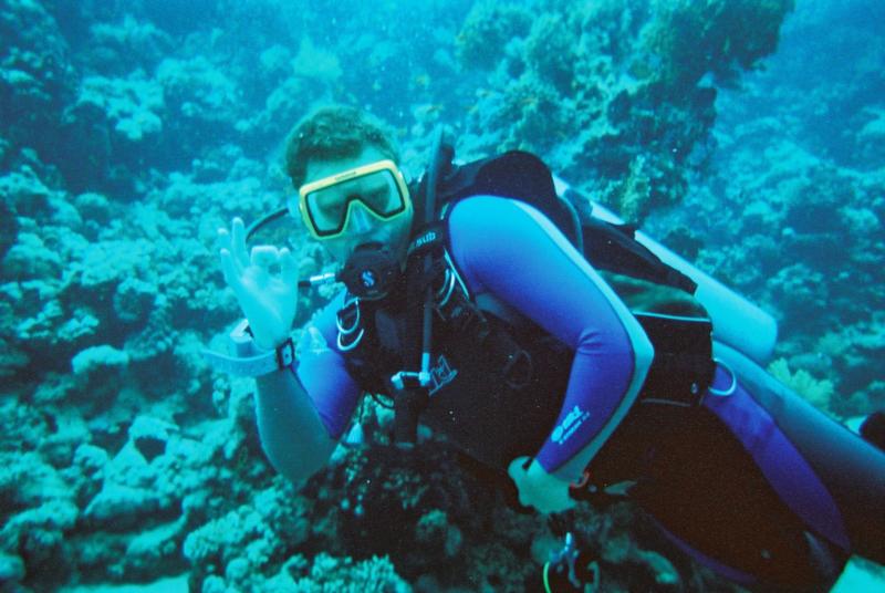 Diving the Red Sea