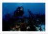 Me in Cozumel in 2004