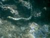 Oahu Sharks Cove Snorkeling