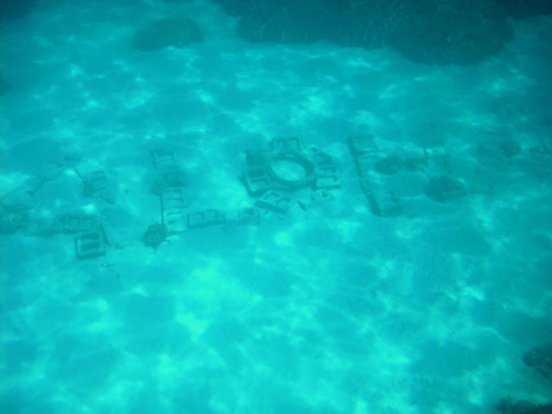 Underwater Greeting in City of Refuge, Big Island, HI