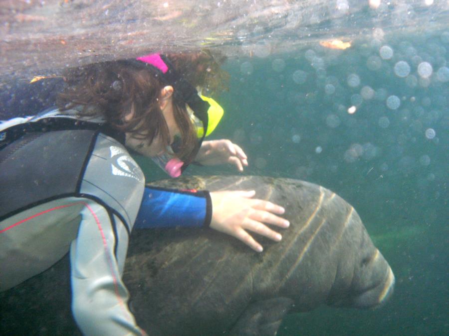6yr old Granddaughter with manatee