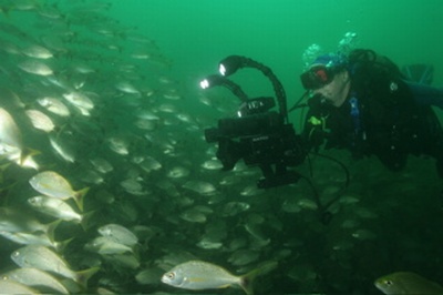 Me diving in Costa Rica