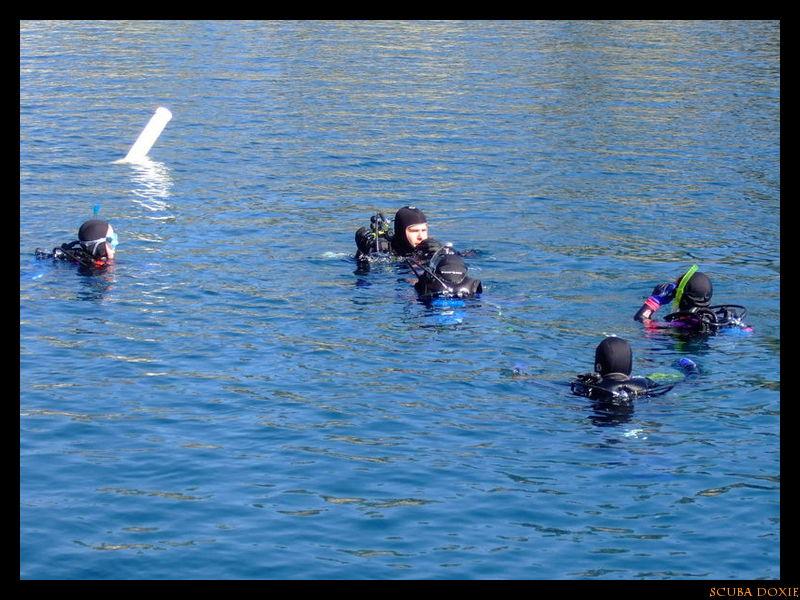 Open Water Class