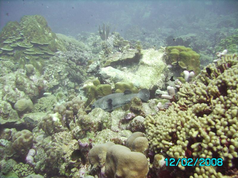 bonaire2