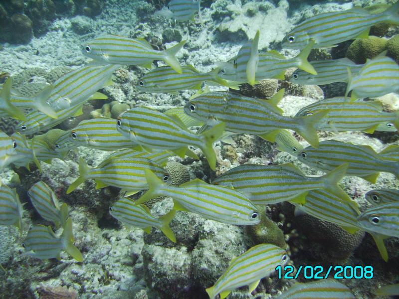 Bonaire4