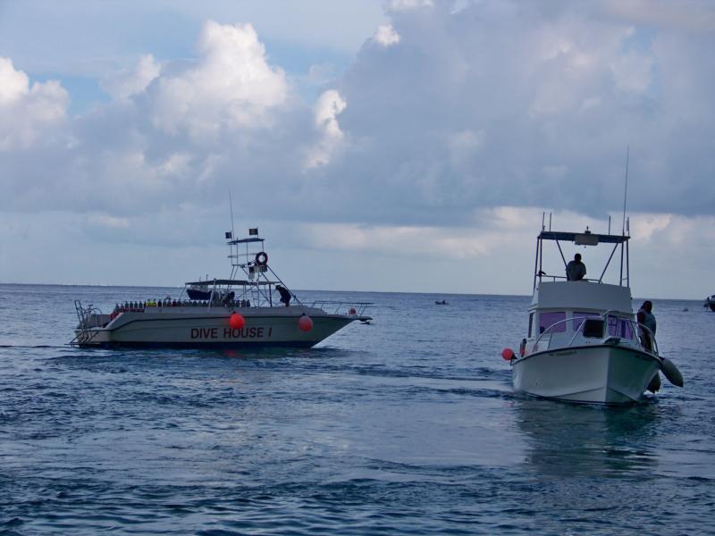 Cozumel 2010