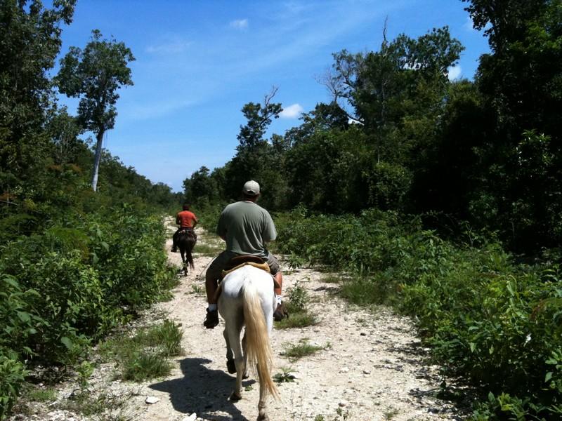 Into the Jungle !!!!! Cozumel 2010