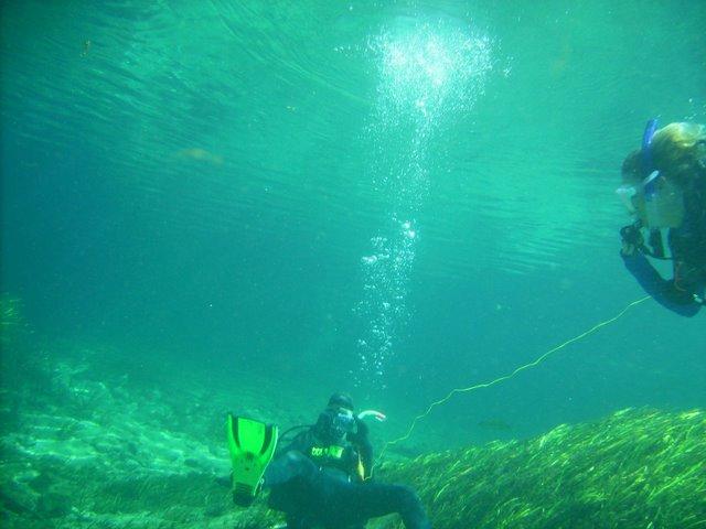Rainbow River, FL