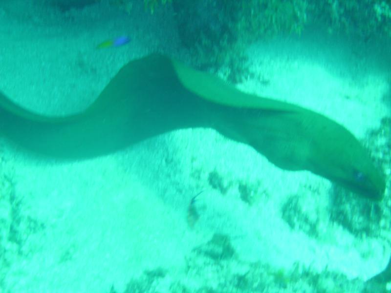 belize