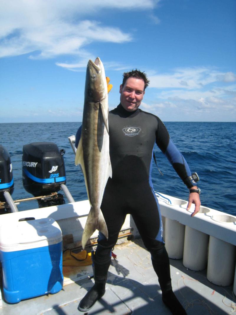 Big Ass Cobia