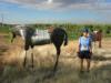 Goofy pic of me, but the horses in this part of the country were so oddly tame!