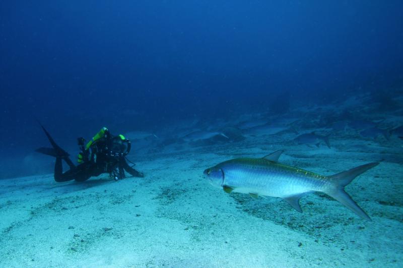 Bonaire