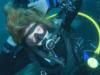 Diving the Channel Islands
