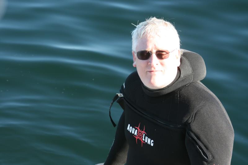Seal Diving