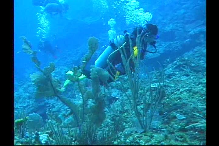 Deep Paradise - Riviera Maya- FONDO