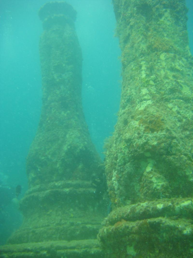 NEPTUNE ALANTIS REEF