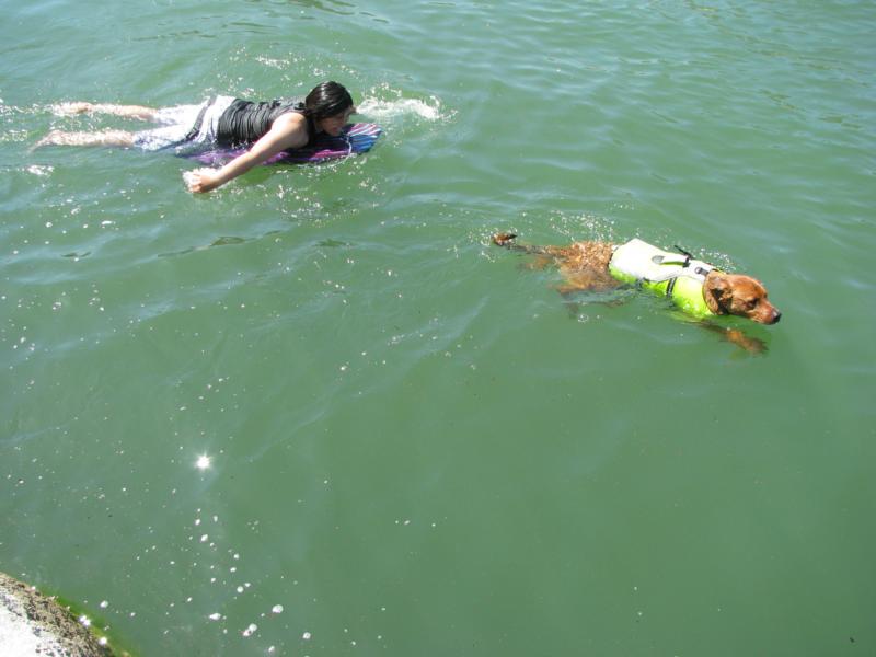 Beau & Me Swimming at Lake Travis