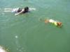 Beau & Me Swimming at Lake Travis