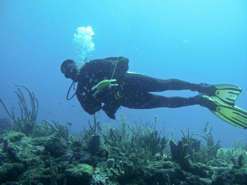 Abby’s Reef taken by smilej