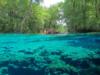 Ginnie Springs