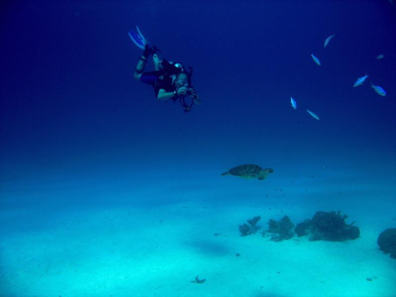 Great Barrier Reef