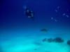 Great Barrier Reef