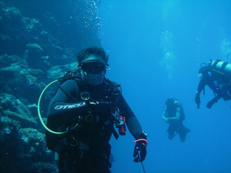 Dive buds