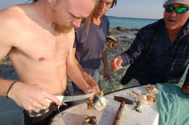 cleaning conch