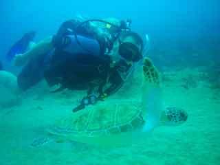 Me and Green Sea Turtle
