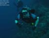 Wall dive, Puerto Rico