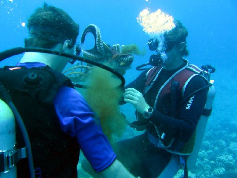 My boys makin new friends in Hawaii