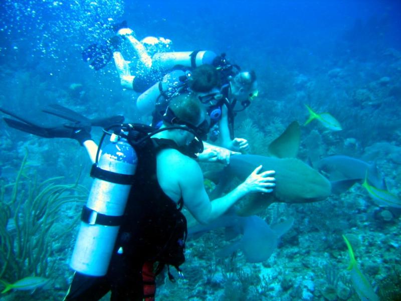 Playin with some nurse shark - Belize