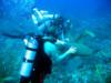 Playin with some nurse shark - Belize