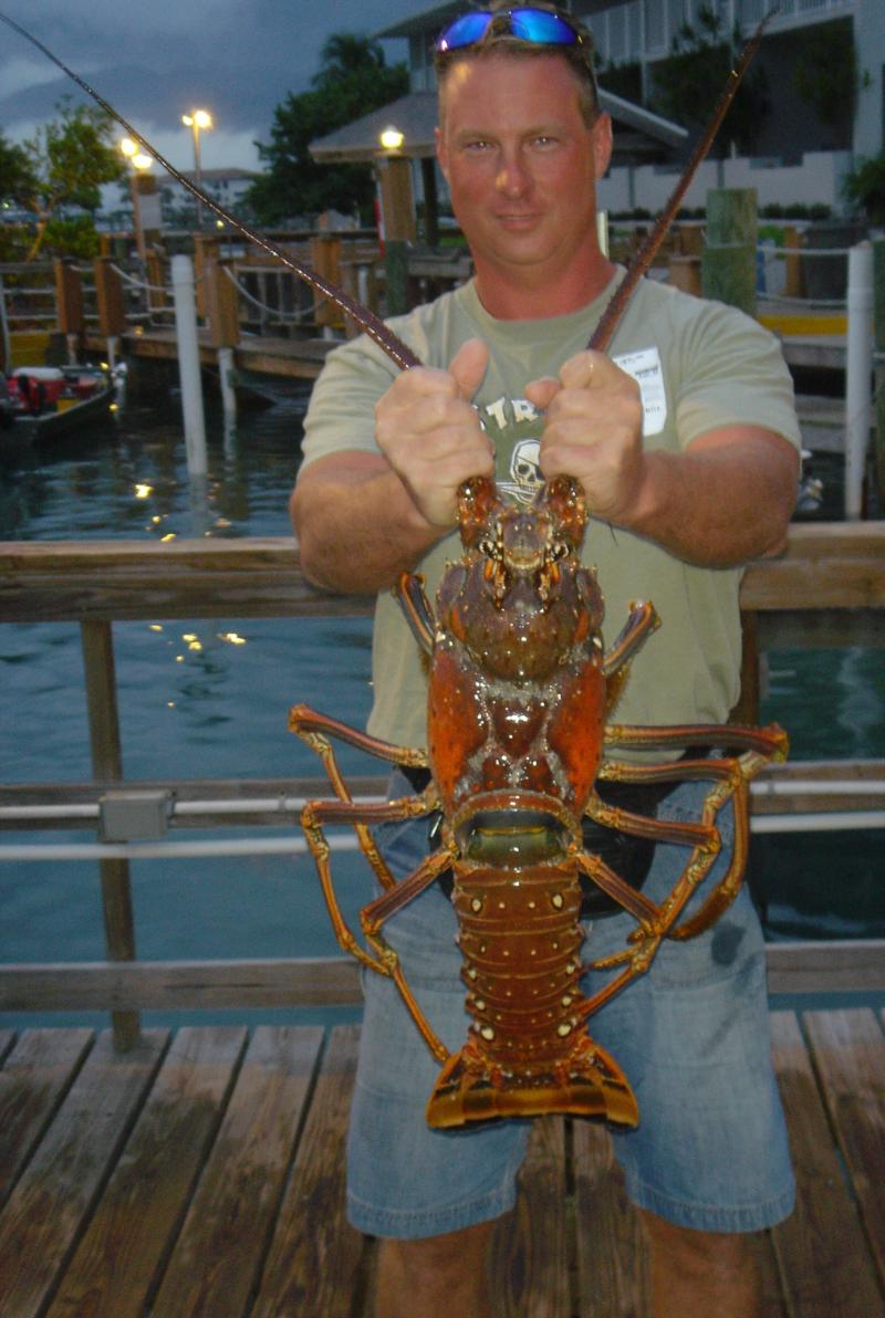 my record lobster