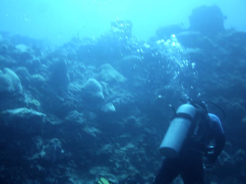 Diver in Bonaire