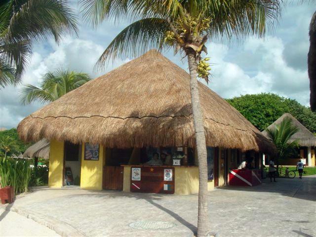 Dressel Dive Shop ~ Mayan Riviera
