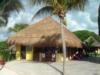 Dressel Dive Shop ~ Mayan Riviera