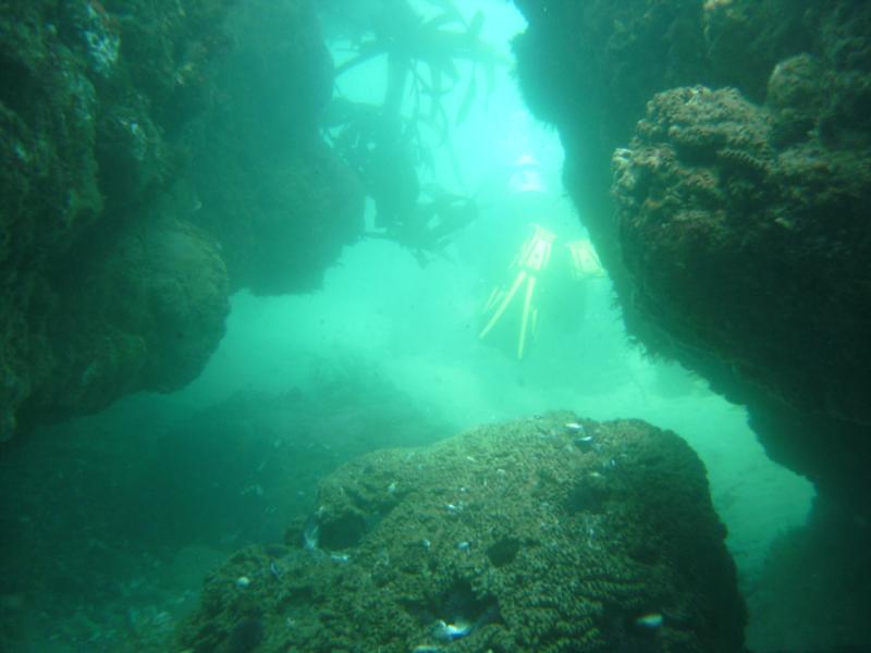 Killer swim thru Shaws Cove 3-1-09