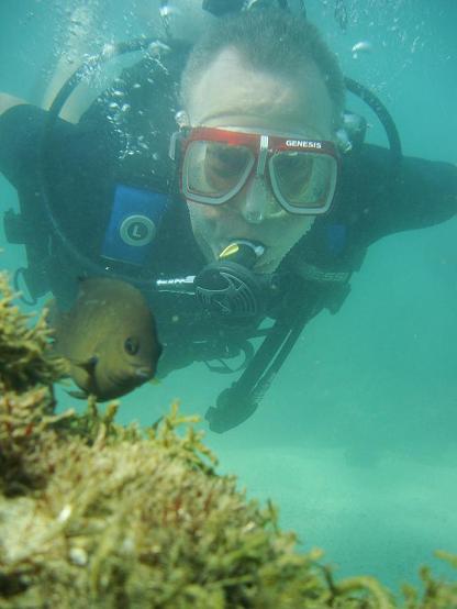 Brazil damsel fish attack