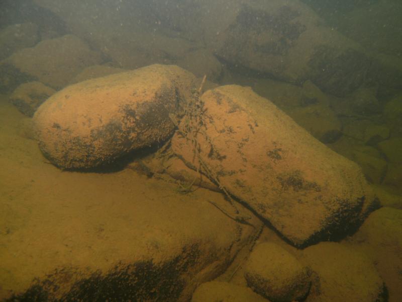 Delwear underwater terrain
