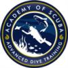 Academy Logo