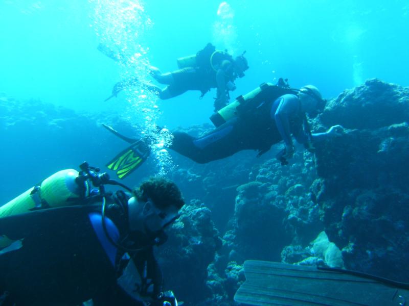 Group in Yap