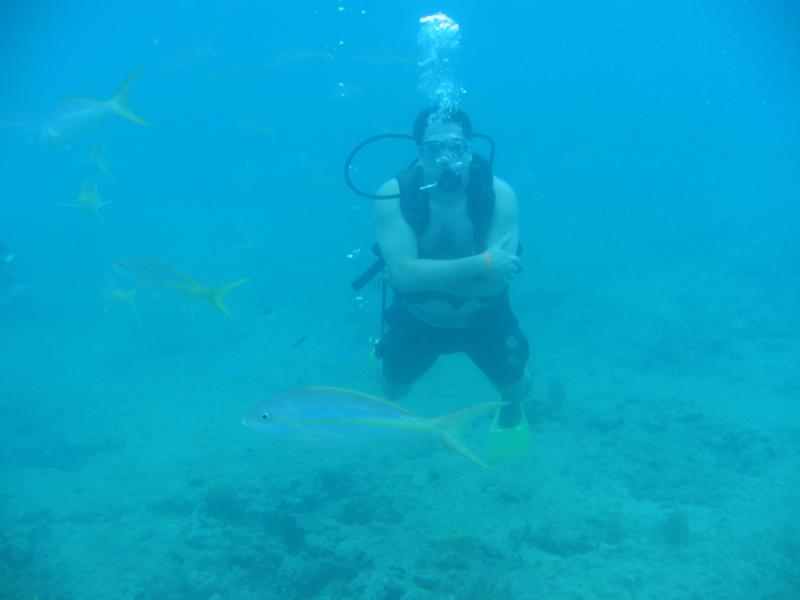 Diving in Dominican Republic