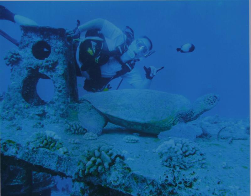 Diving in Waikiki